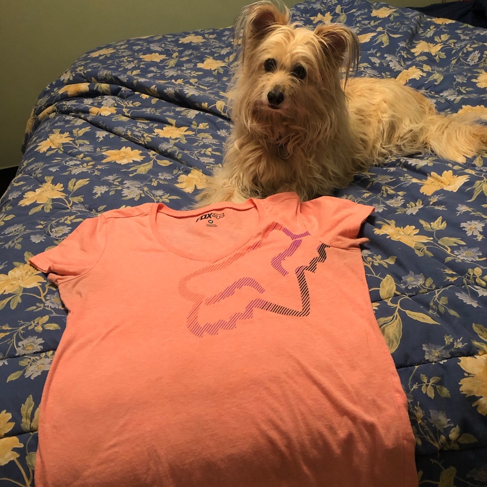 Fox tee
